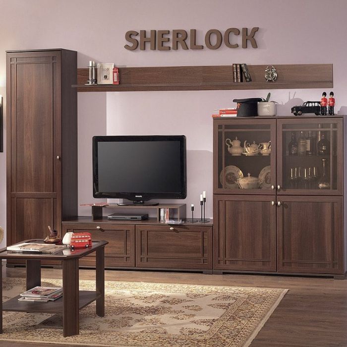 Шкаф МЦН Шерлок (Sherlock) 2